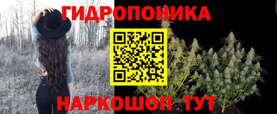 крисы Ирбит